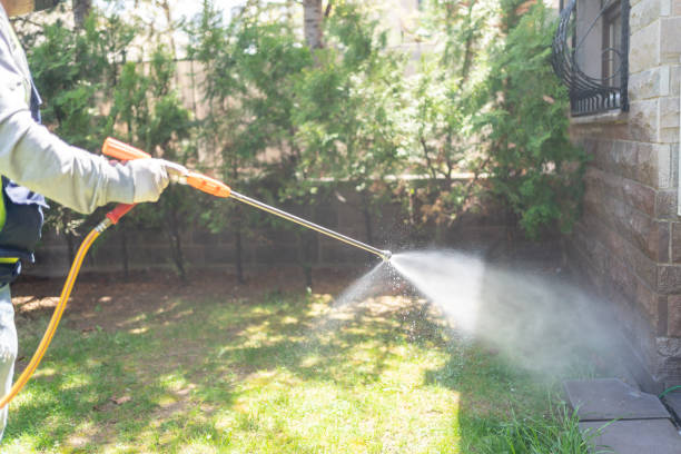 Best Affordable Pest Control Services  in Doylestown, OH