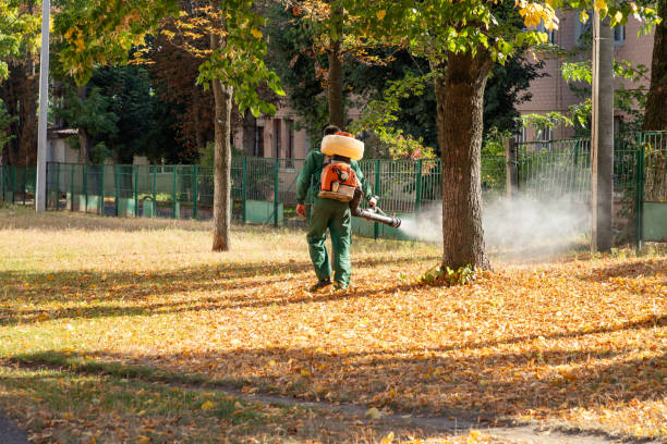 Best Local Pest Control Services  in Doylestown, OH